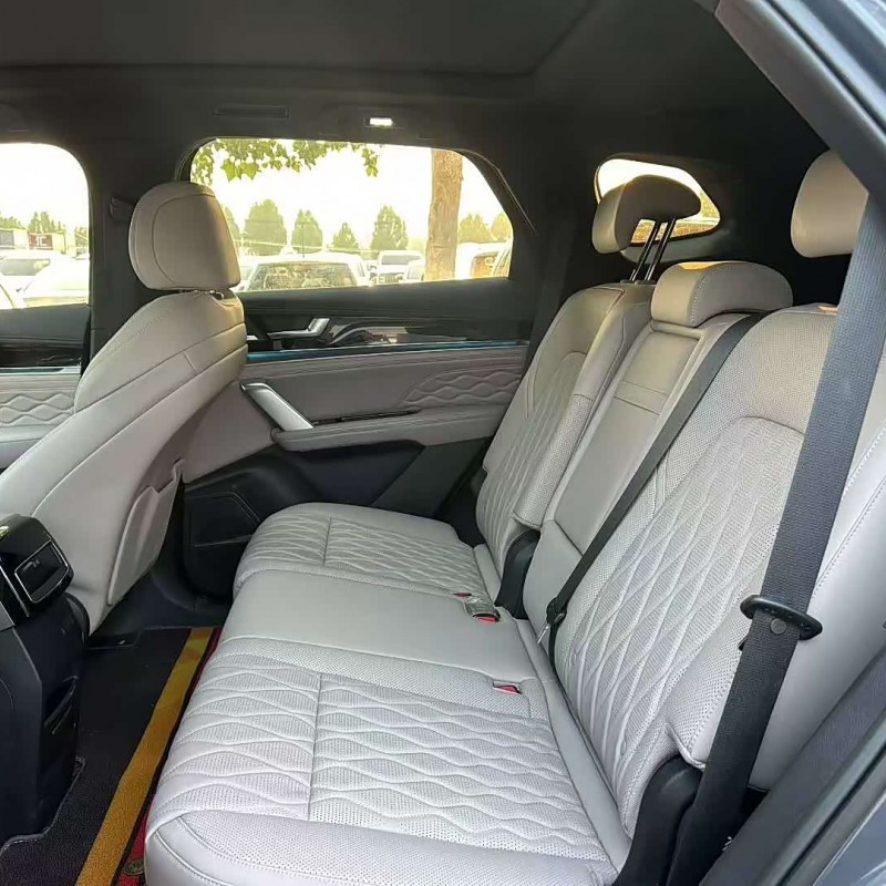 Tang New Energy 2024 DM-p Champion Edition 215KM 4WD Premium Edition Tang New Energy 2024 DM-p Champion Edition 215KM 4WD Premium Edition