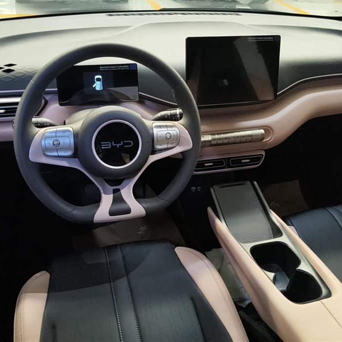 Seagull 2025 305km Vitality Edition Seagull 2025 305km Vitality Edition