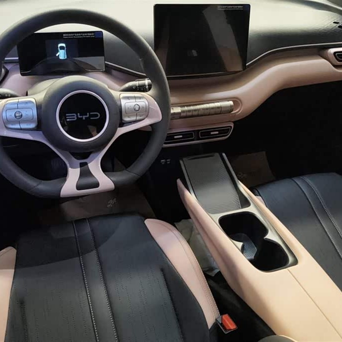 Seagull 2025 305km Vitality Edition Seagull 2025 305km Vitality Edition