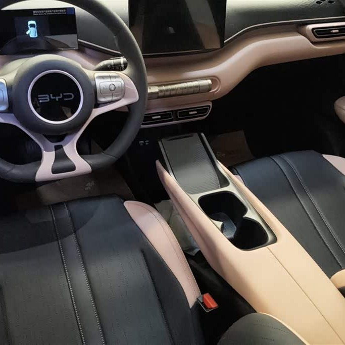 Seagull 2025 305km Vitality Edition Seagull 2025 305km Vitality Edition