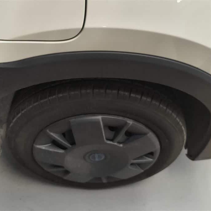 Seagull 2025 305km Vitality Edition Seagull 2025 305km Vitality Edition