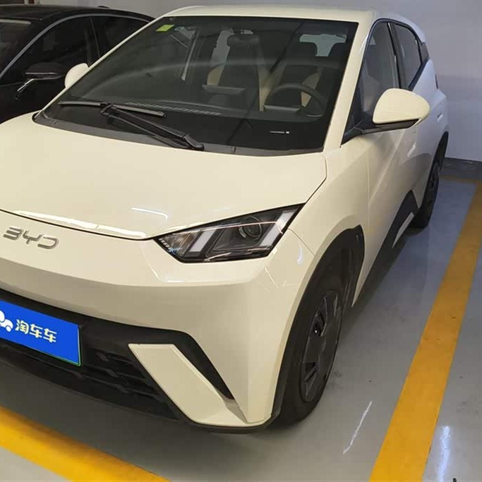 Seagull 2025 305km Vitality Edition Seagull 2025 305km Vitality Edition