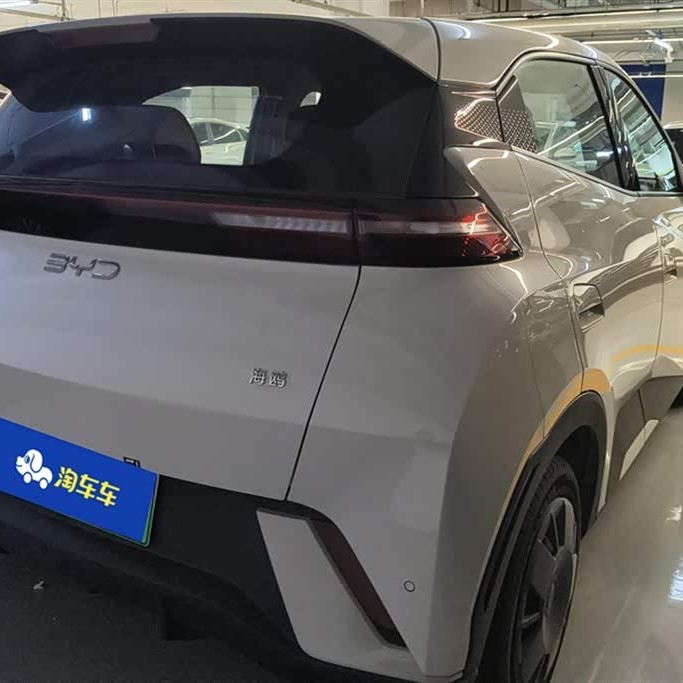 Seagull 2025 305km Vitality Edition Seagull 2025 305km Vitality Edition