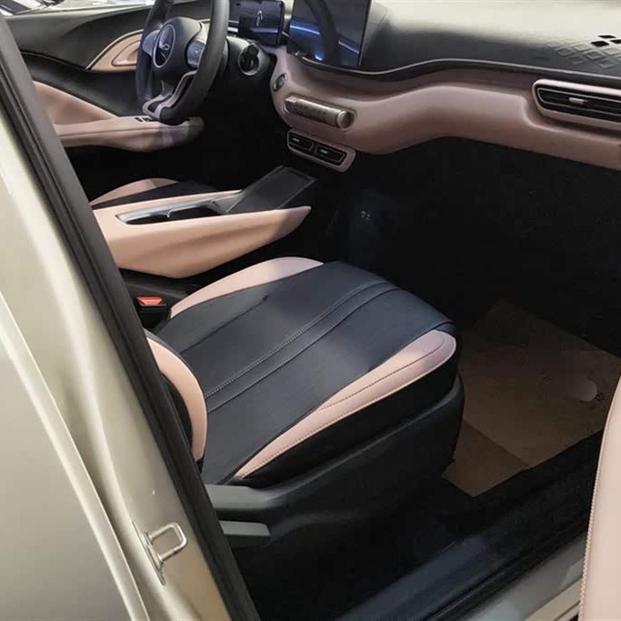 Seagull 2025 305km Vitality Edition Seagull 2025 305km Vitality Edition