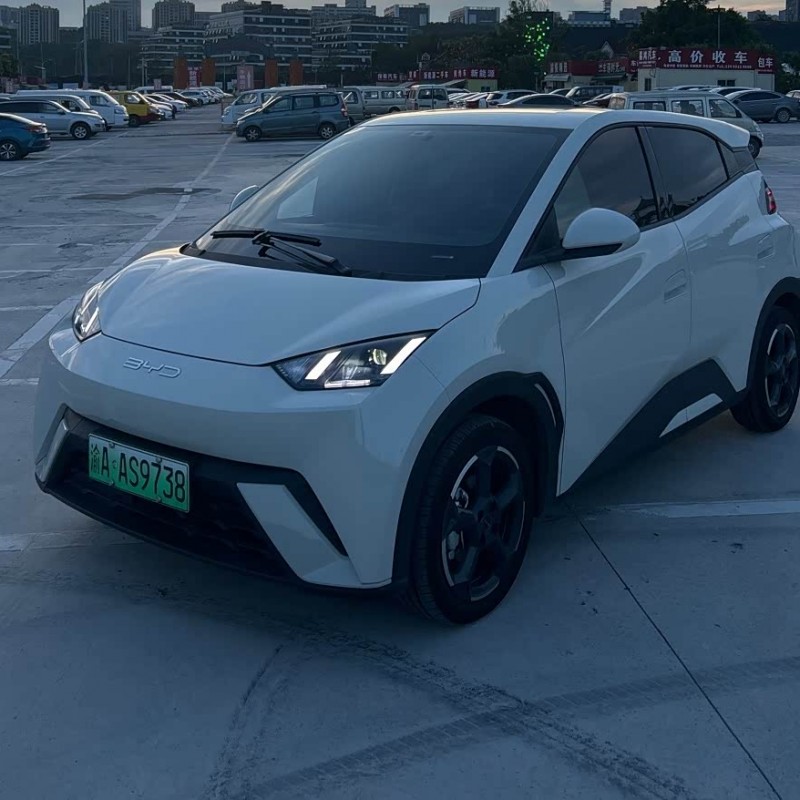 Seagull 2024 Glory Edition 305km Freedom Edition Seagull 2024 Glory Edition 305km Freedom Edition