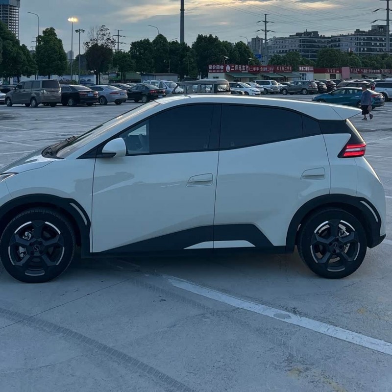 Seagull 2024 Glory Edition 305km Freedom Edition Seagull 2024 Glory Edition 305km Freedom Edition