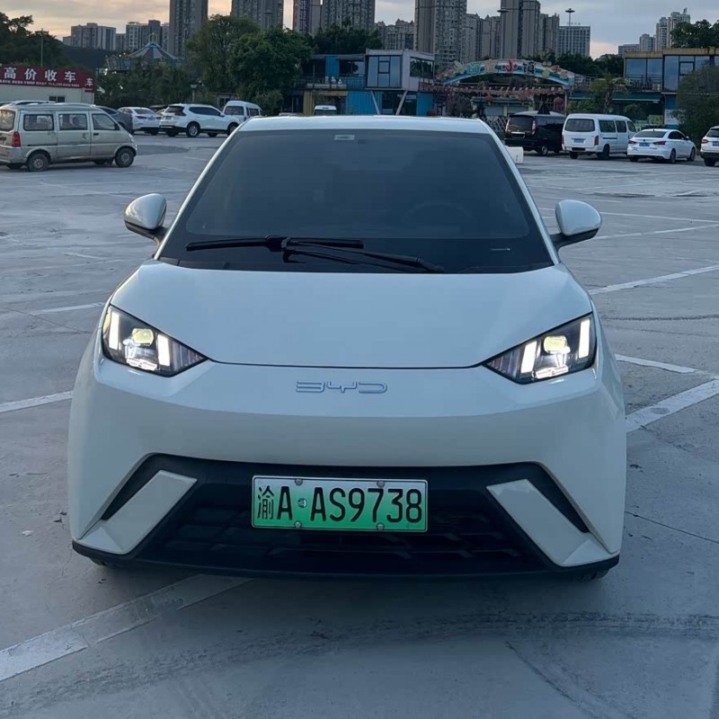 Seagull 2024 Glory Edition 305km Freedom Edition Seagull 2024 Glory Edition 305km Freedom Edition