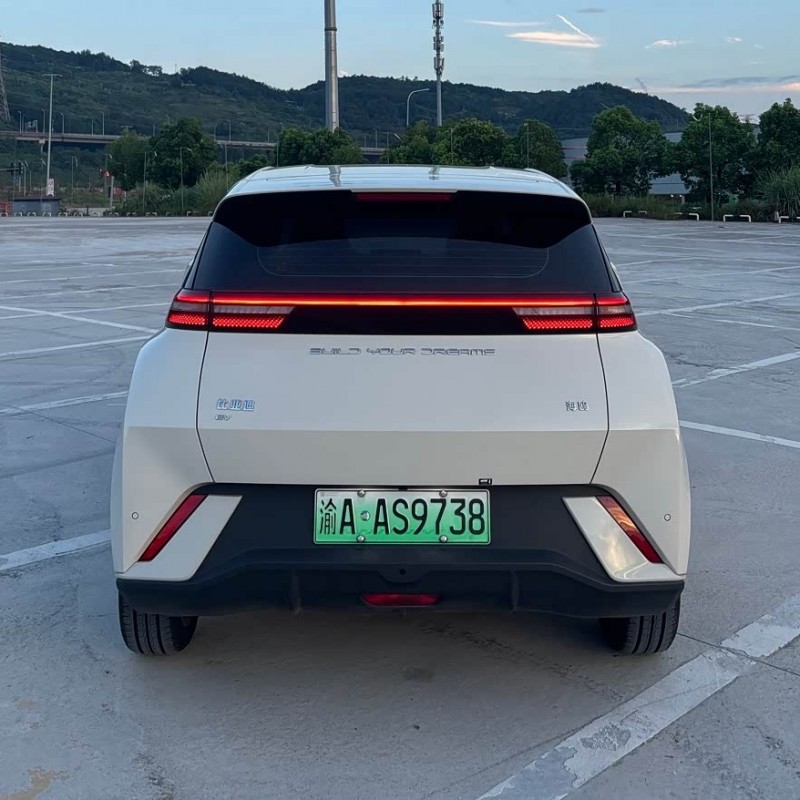 Seagull 2024 Glory Edition 305km Freedom Edition Seagull 2024 Glory Edition 305km Freedom Edition