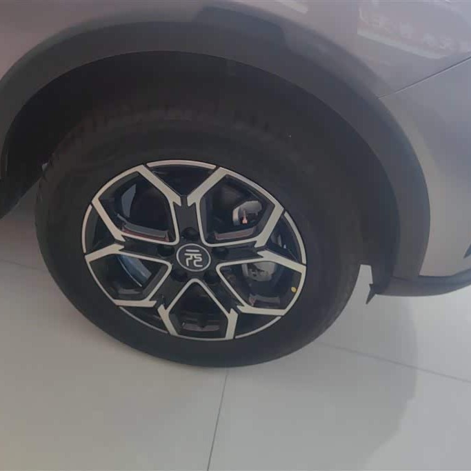 Yuan Pro 2023 401KM Premium Edition Yuan Pro 2023 401KM Premium Edition