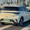 Dolphin 2023 420km Fashion Edition Dolphin 2023 420km Fashion Edition