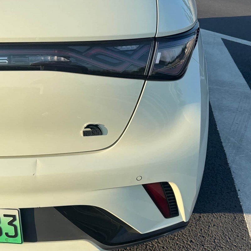 Dolphin 2023 420km Fashion Edition Dolphin 2023 420km Fashion Edition