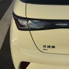Dolphin 2023 420km Fashion Edition Dolphin 2023 420km Fashion Edition