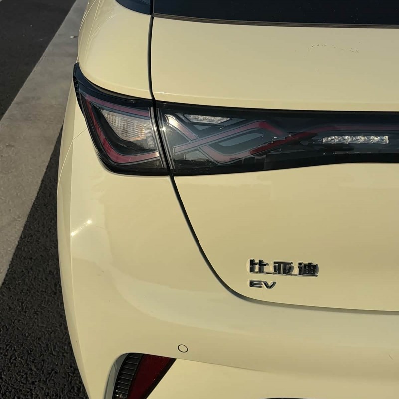 Dolphin 2023 420km Fashion Edition Dolphin 2023 420km Fashion Edition