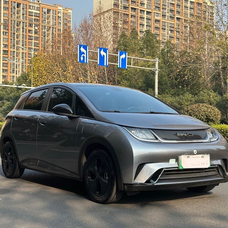Dolphin 2023 420km Fashion Edition Dolphin 2023 420km Fashion Edition