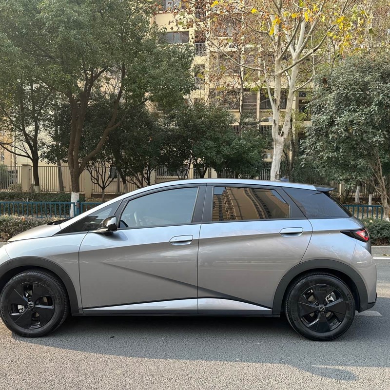 Dolphin 2023 420km Fashion Edition Dolphin 2023 420km Fashion Edition
