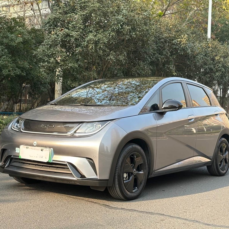 Dolphin 2023 420km Fashion Edition Dolphin 2023 420km Fashion Edition