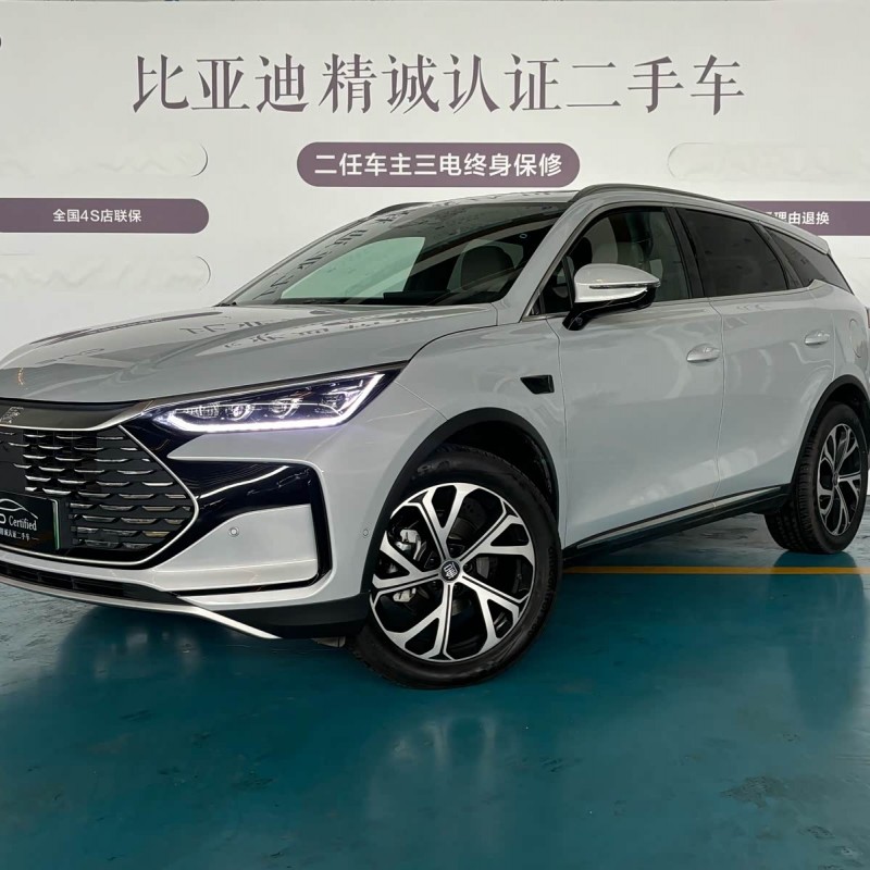 Tang New Energy 2025 DM-i Intelligent Driving Edition 115KM Flagship Model Tang New Energy 2025 DM-i Intelligent Driving Edition 115KM Flagship Model