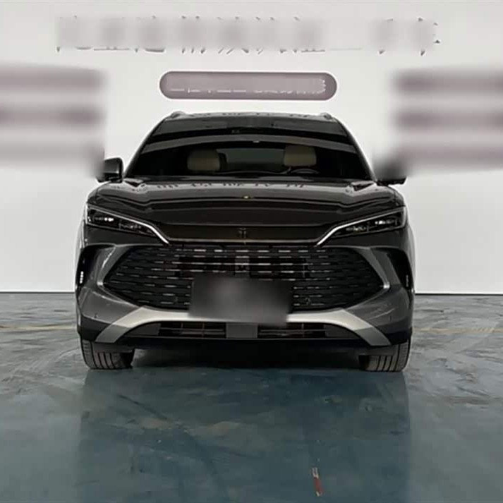 Song L DM-i 2024 model 112km surpassing model Song L DM-i 2024 model 112km surpassing model