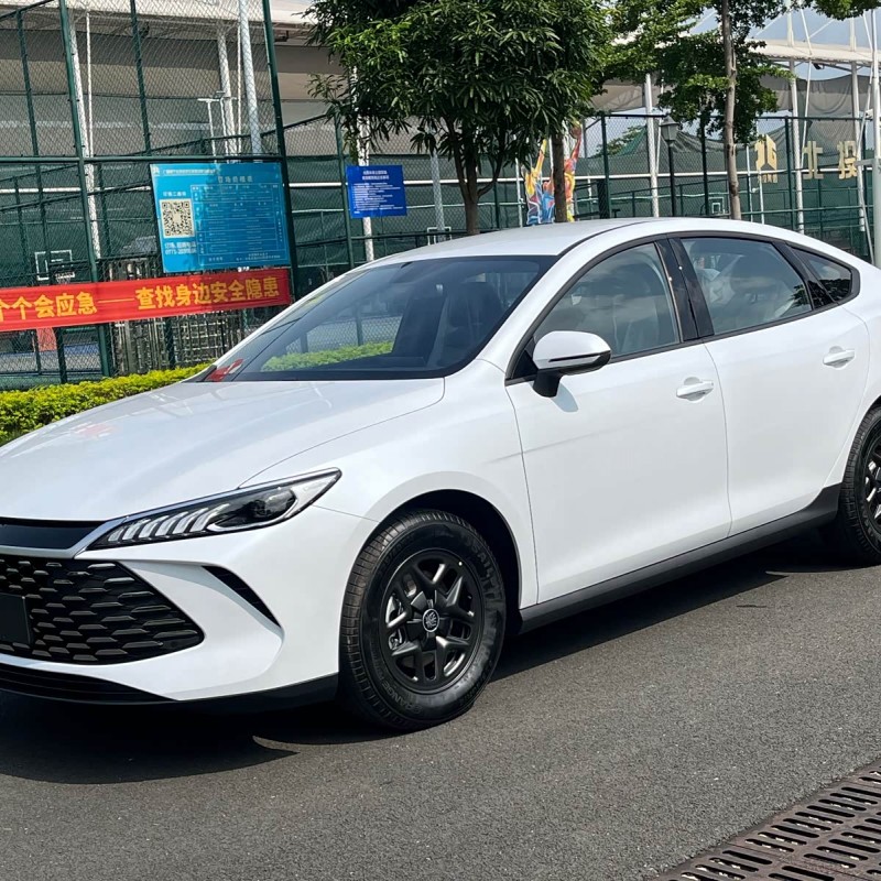 Qin PLUS 2025 DM-i Intelligent Driving Edition 55KM Leading Edition