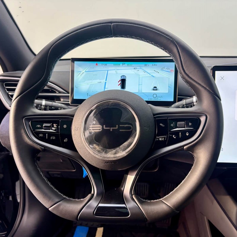 2023 Seal Champion Edition 550km Premium 2023 Seal Champion Edition 550km Premium