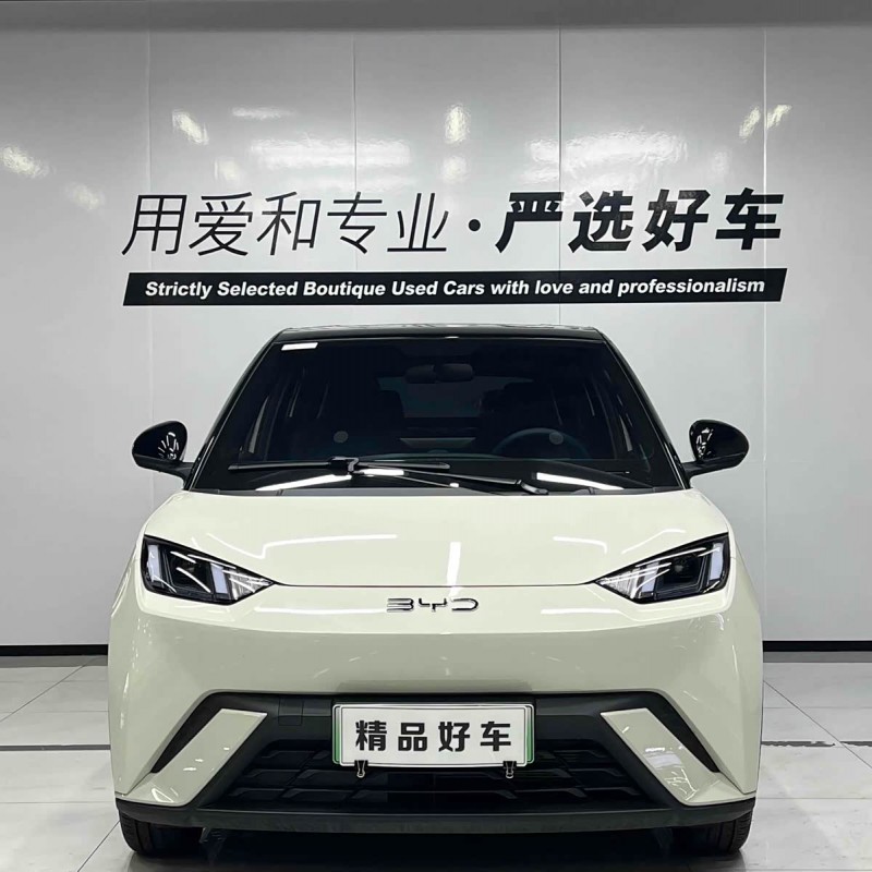 Seagull 2025 305km Freedom Edition Seagull 2025 305km Freedom Edition
