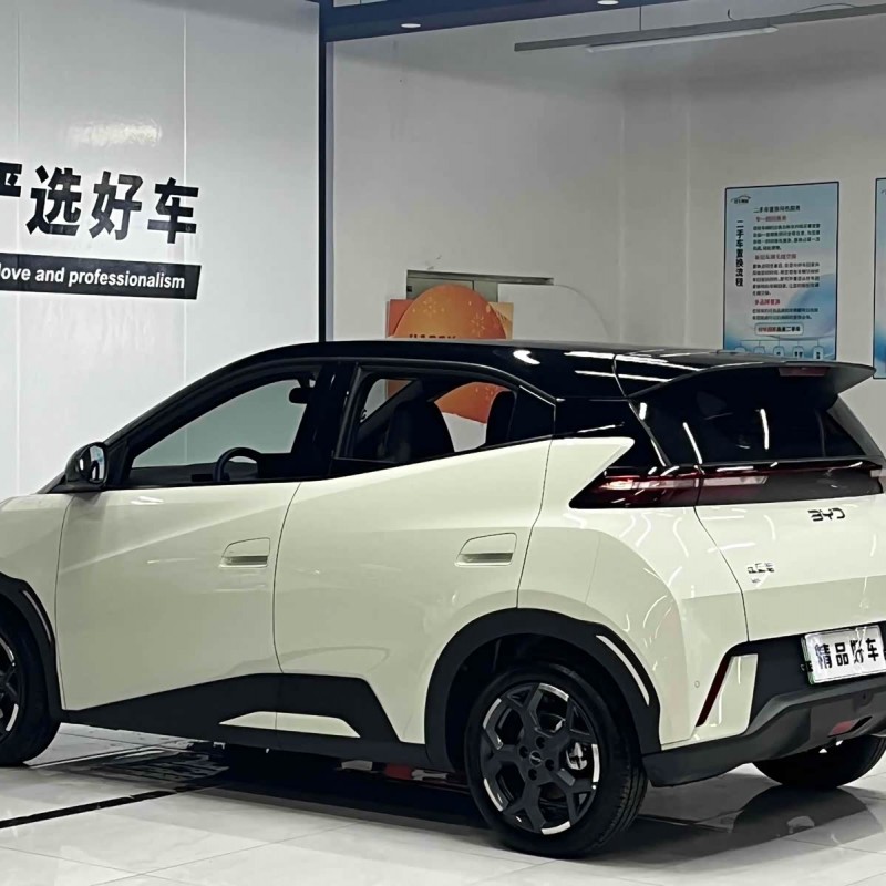 Seagull 2025 305km Freedom Edition Seagull 2025 305km Freedom Edition