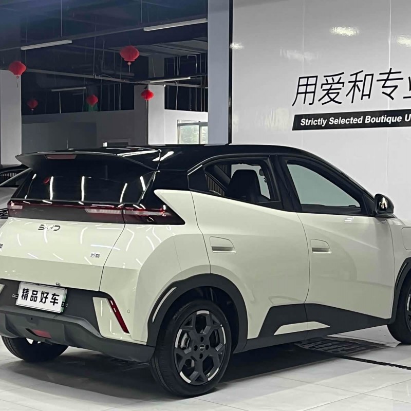 Seagull 2025 305km Freedom Edition Seagull 2025 305km Freedom Edition