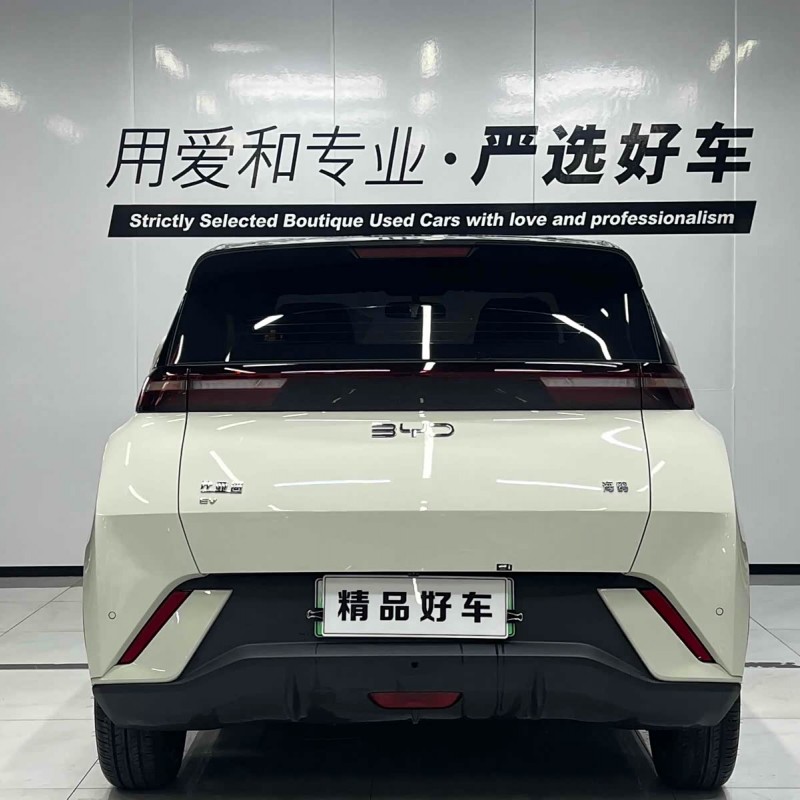 Seagull 2025 305km Freedom Edition Seagull 2025 305km Freedom Edition