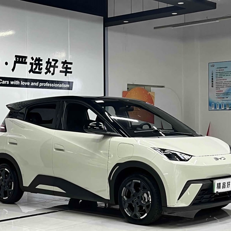 Seagull 2025 305km Freedom Edition Seagull 2025 305km Freedom Edition