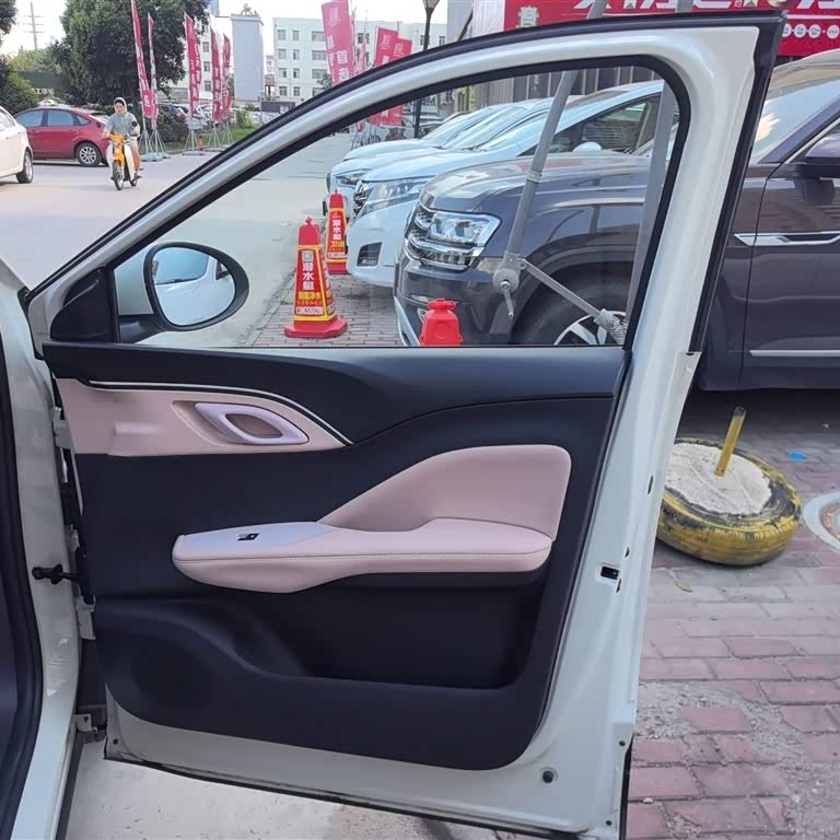 Seagull 2025 305km Vitality Edition Seagull 2025 305km Vitality Edition