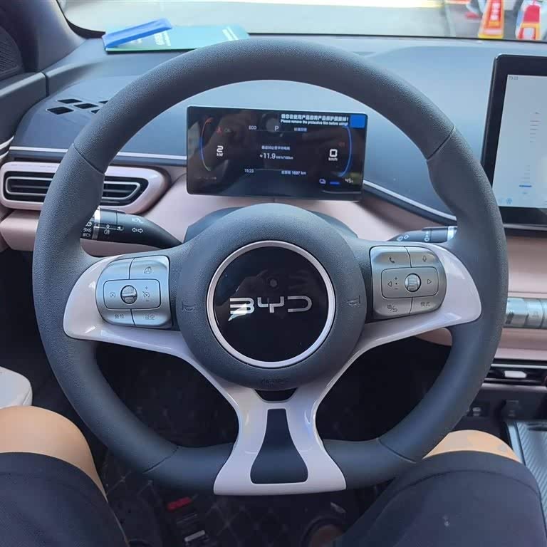 Seagull 2025 305km Vitality Edition Seagull 2025 305km Vitality Edition