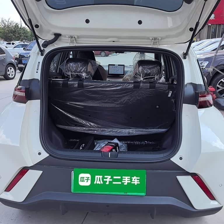 Seagull 2025 305km Vitality Edition Seagull 2025 305km Vitality Edition
