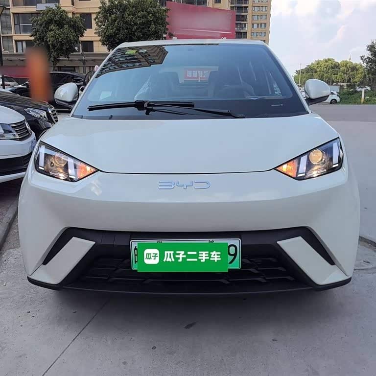 Seagull 2025 305km Vitality Edition Seagull 2025 305km Vitality Edition