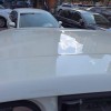 Seagull 2025 305km Vitality Edition