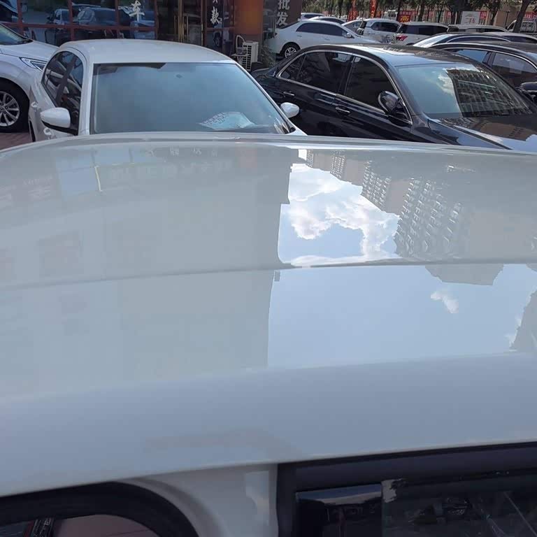Seagull 2025 305km Vitality Edition Seagull 2025 305km Vitality Edition