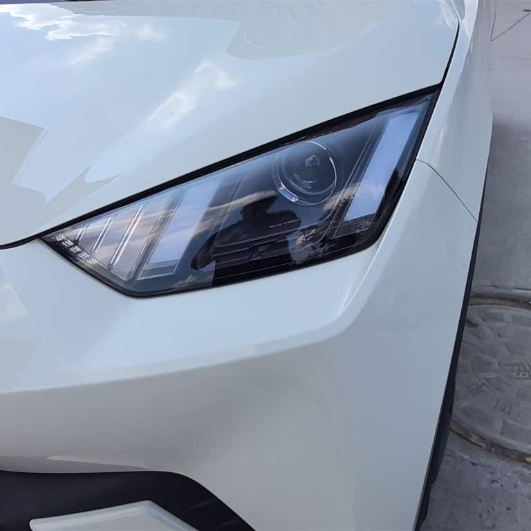 Seagull 2025 305km Vitality Edition Seagull 2025 305km Vitality Edition