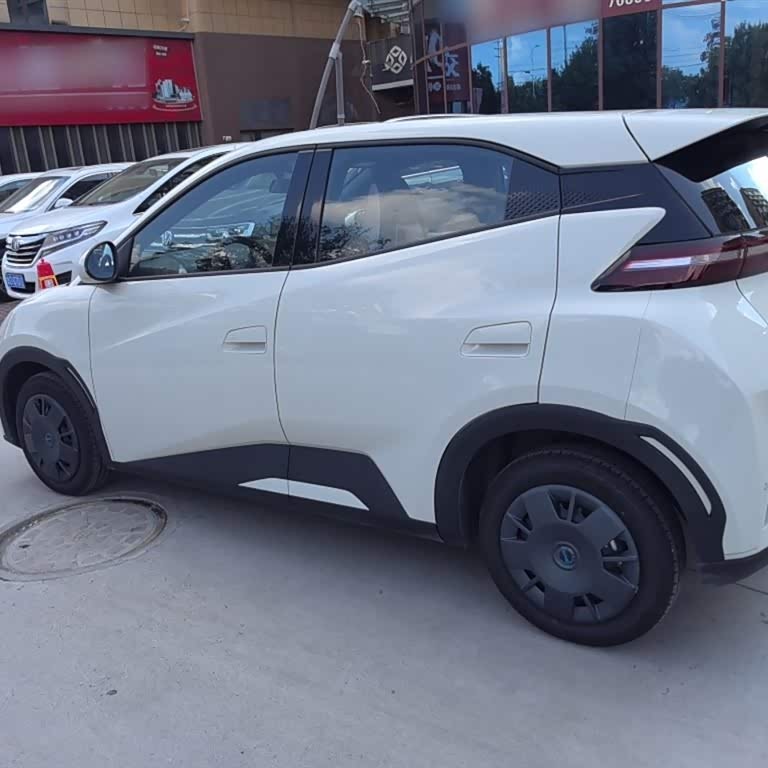 Seagull 2025 305km Vitality Edition Seagull 2025 305km Vitality Edition