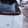 Seagull 2025 305km Vitality Edition