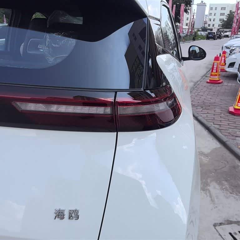 Seagull 2025 305km Vitality Edition Seagull 2025 305km Vitality Edition