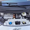Seagull 2025 305km Vitality Edition