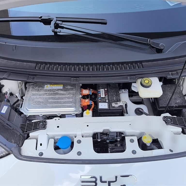 Seagull 2025 305km Vitality Edition Seagull 2025 305km Vitality Edition