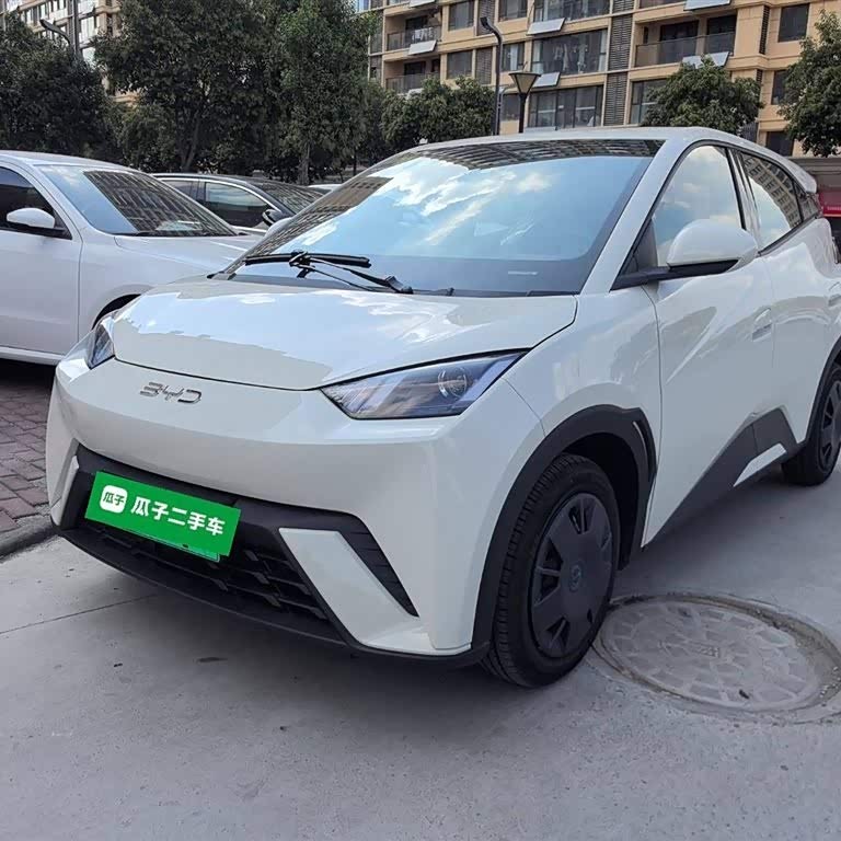 Seagull 2025 305km Vitality Edition Seagull 2025 305km Vitality Edition