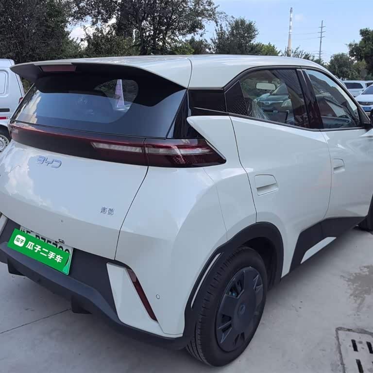 Seagull 2025 305km Vitality Edition Seagull 2025 305km Vitality Edition