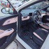 Seagull 2025 305km Vitality Edition