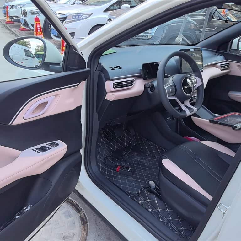 Seagull 2025 305km Vitality Edition Seagull 2025 305km Vitality Edition