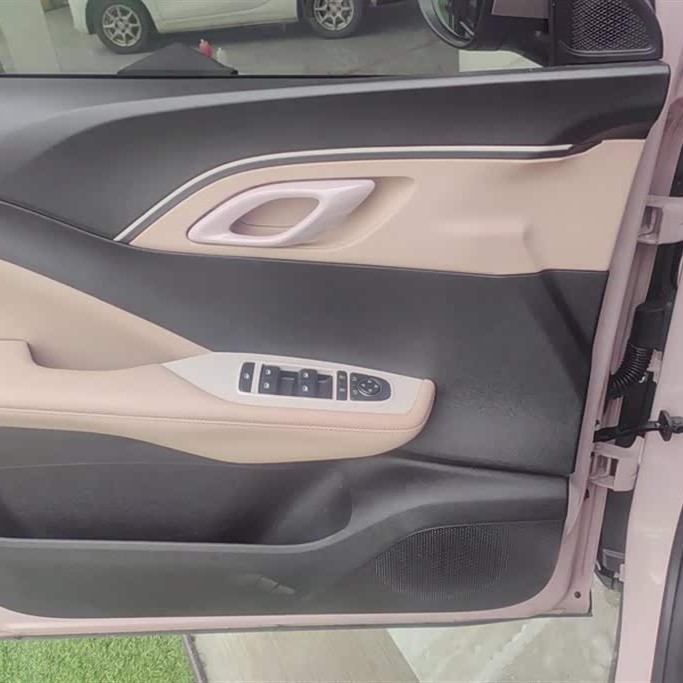 Seagull 2025 305km Vitality Edition Seagull 2025 305km Vitality Edition