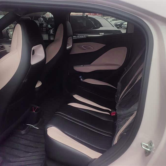 Seagull 2025 305km Vitality Edition Seagull 2025 305km Vitality Edition