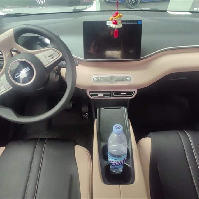 Seagull 2025 305km Vitality Edition Seagull 2025 305km Vitality Edition