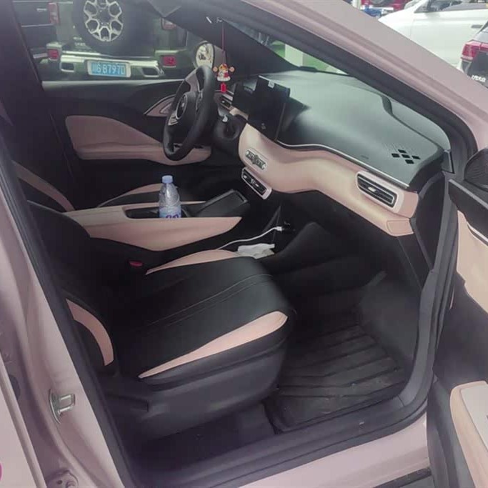 Seagull 2025 305km Vitality Edition Seagull 2025 305km Vitality Edition