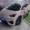 Seagull 2025 305km Vitality Edition